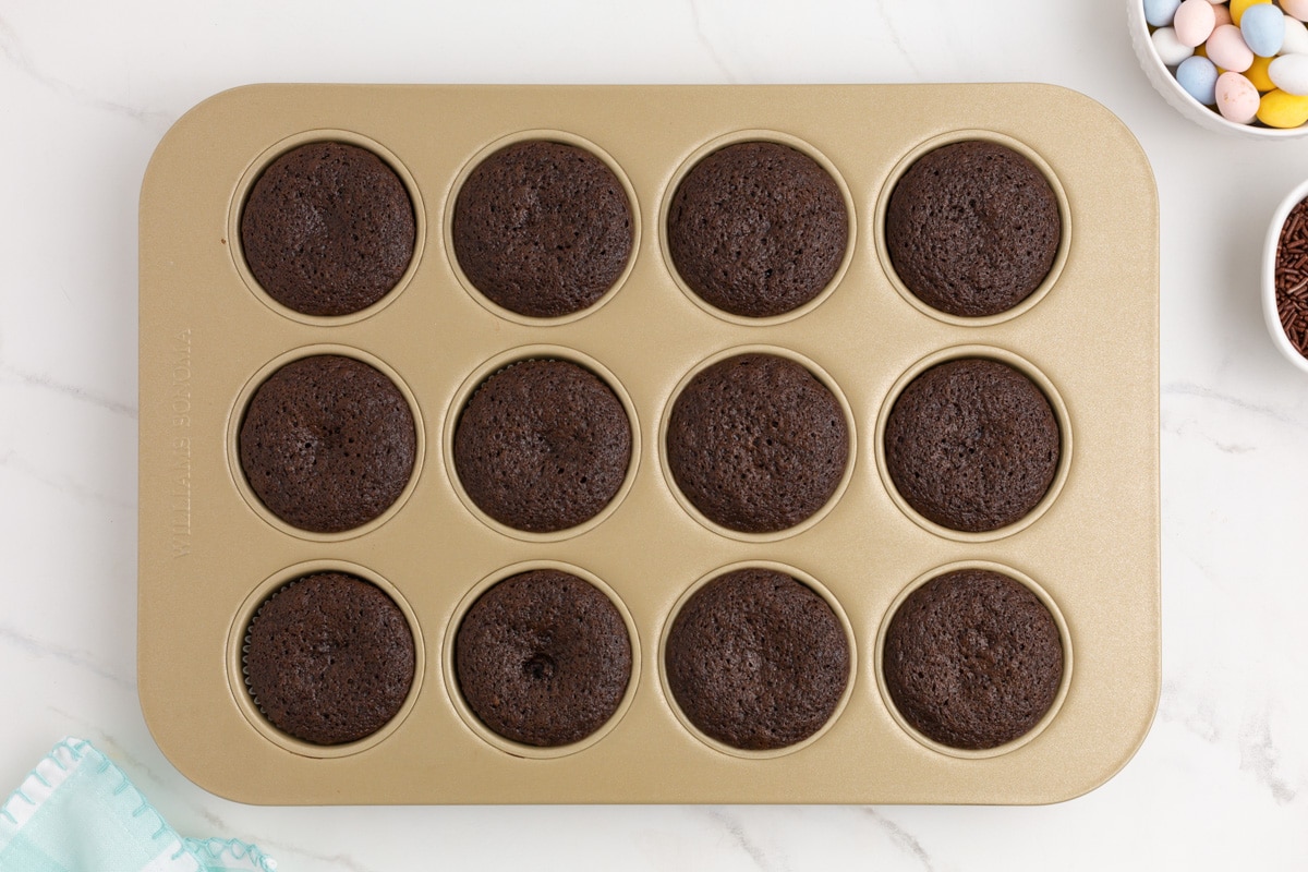 12 baked chocolate cupcakes in a muffin pan