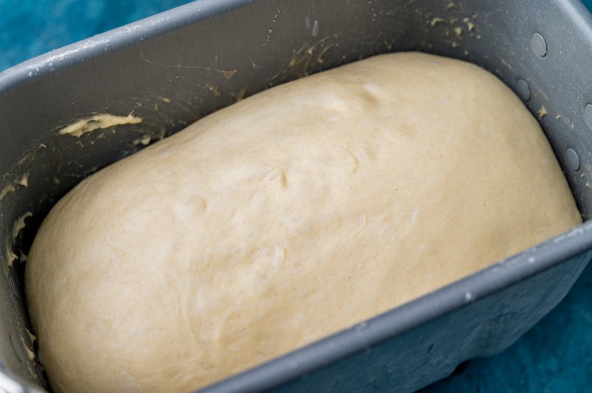 bread dough in a bread machine pan