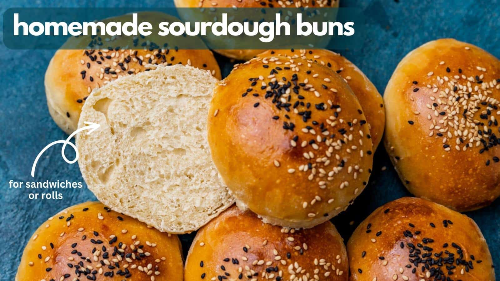 Sourdough Discard Hamburger Buns Tastes of Lizzy T