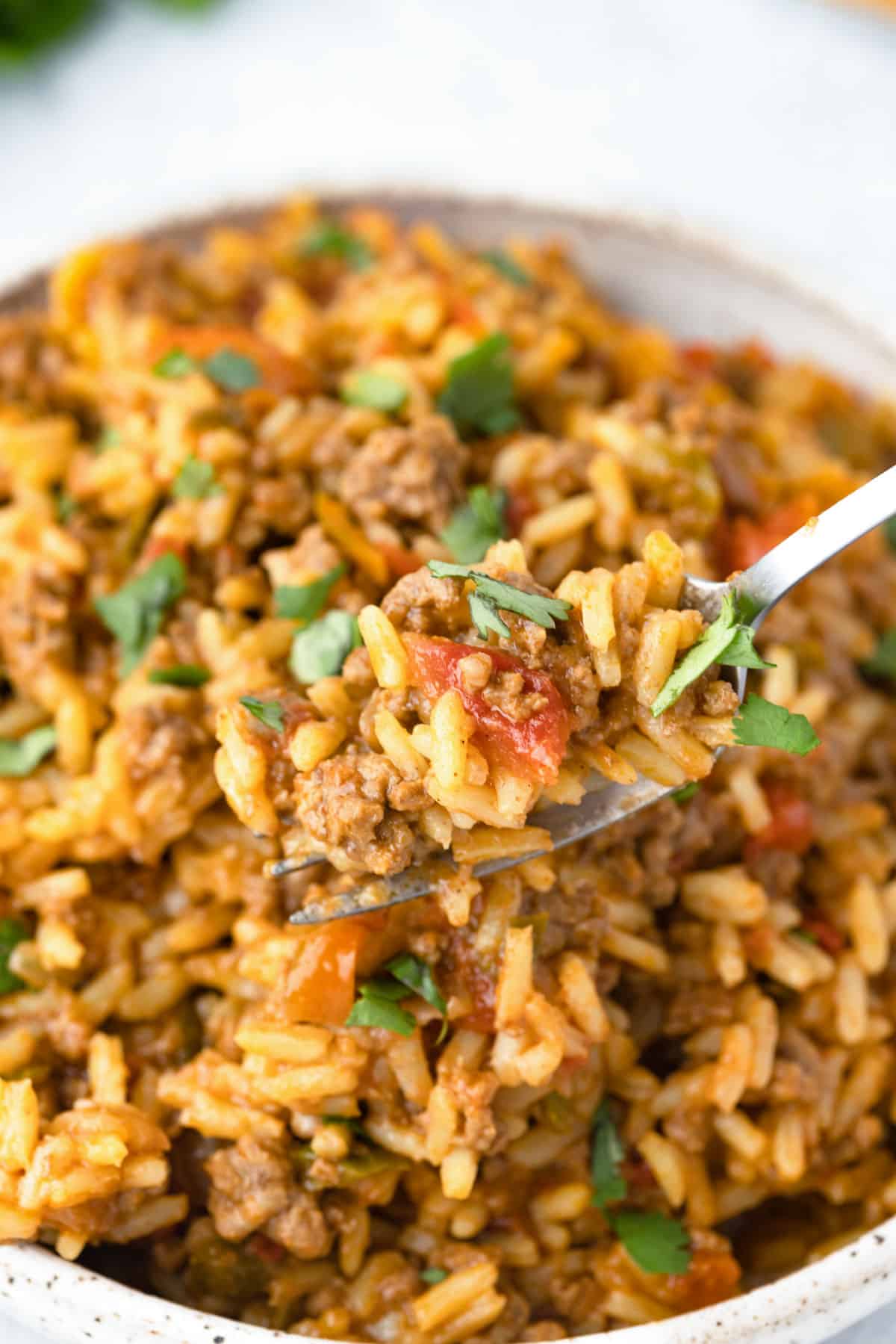 a bite of spanish rice on a fork with a bowl