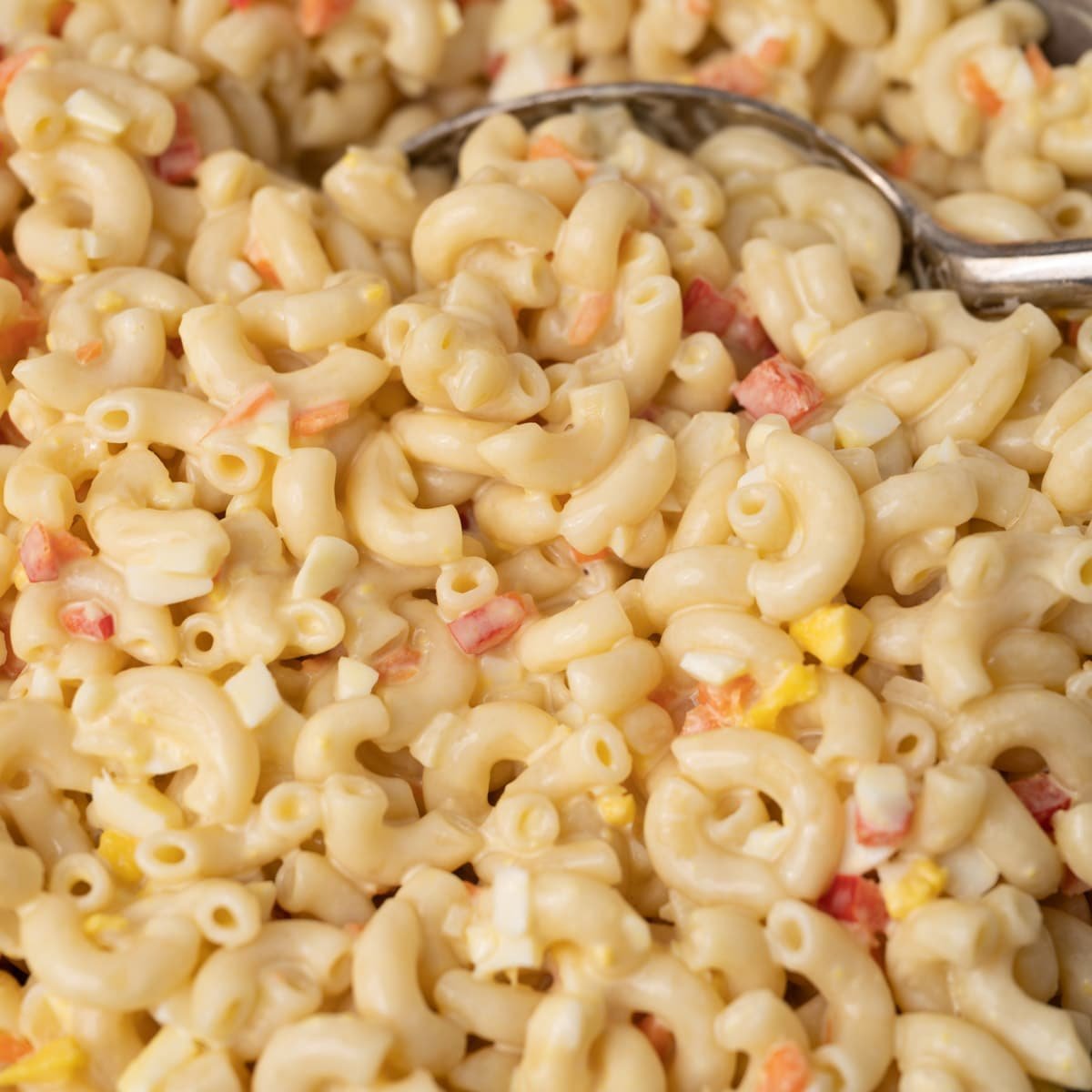 closeup of a spoon in amish macaroni salad