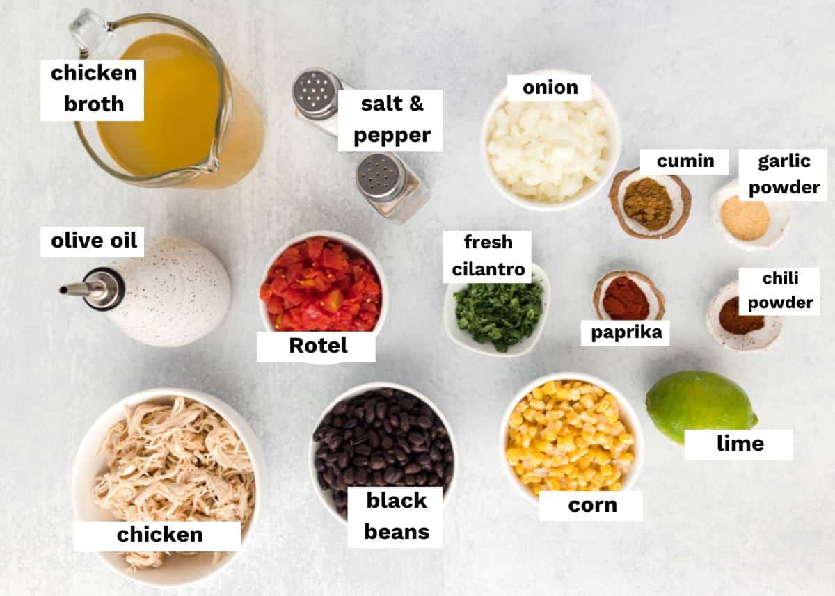 ingredients for mexican soup with chicken on a table