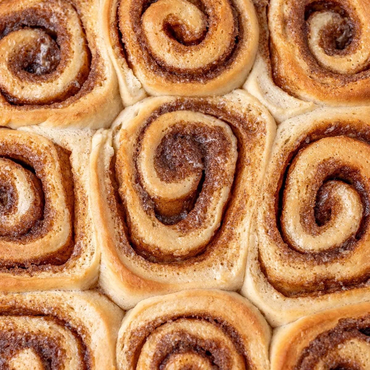 overhead view of chai cinnamon rolls in a pan