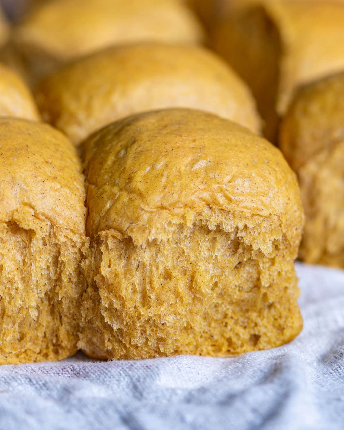 pumpkin dinner rolls on a table