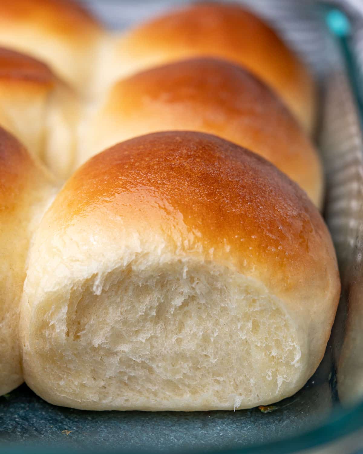 golden brown rolls in a baking pan