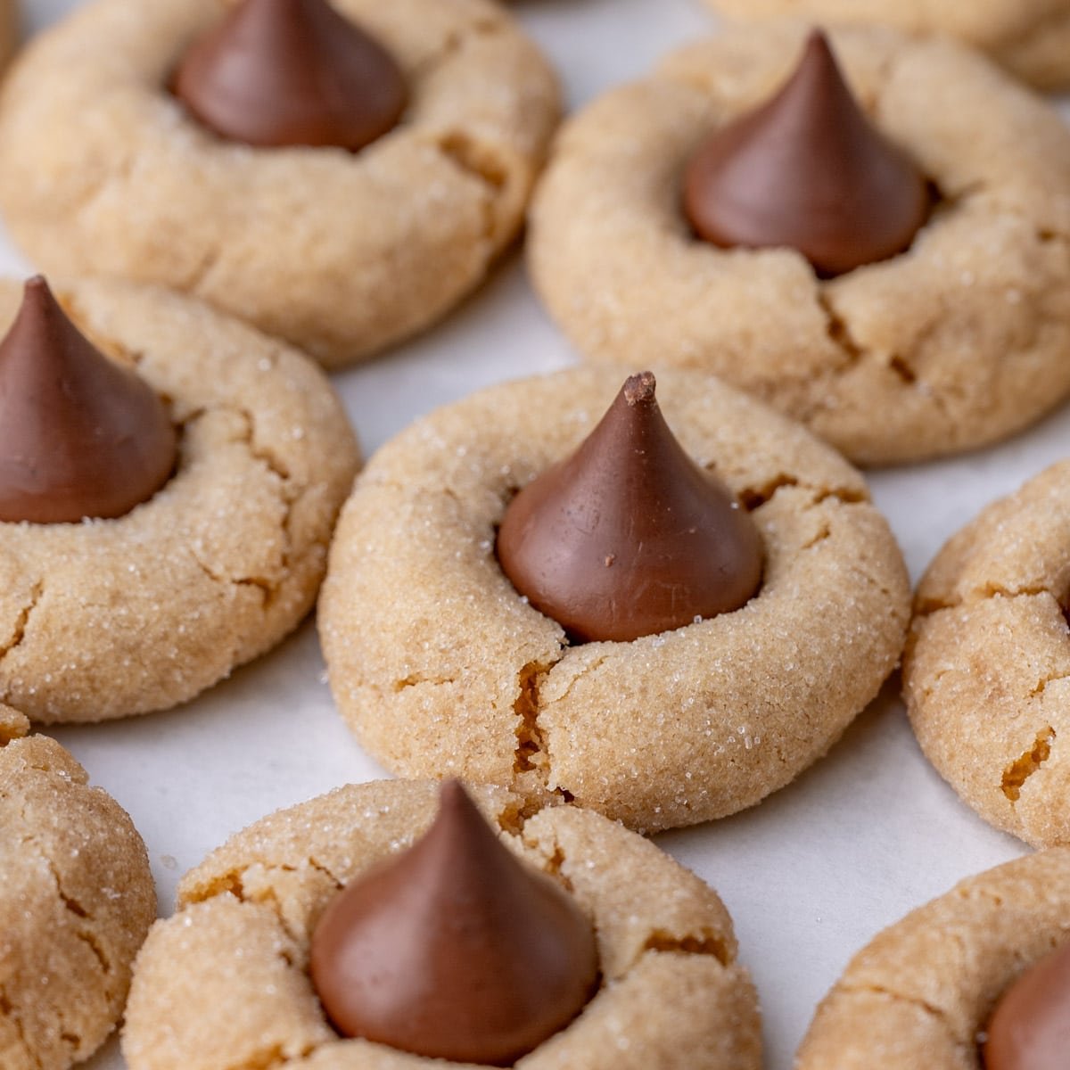 closeup of peanut blossoms cookies on a baking sheet