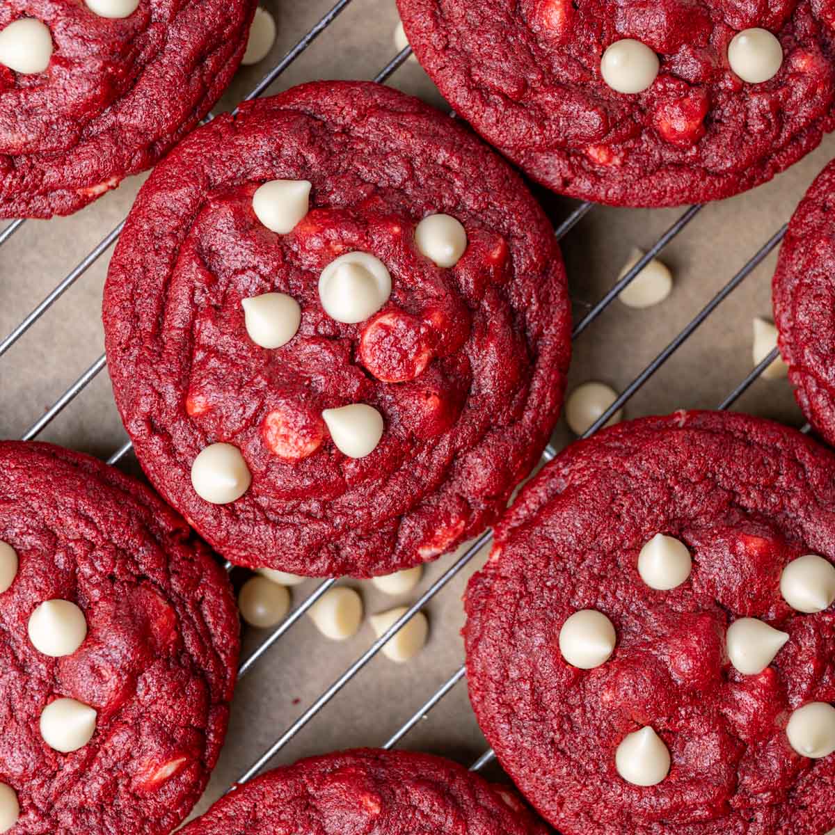 Easy Cut Out Sugar Cookies Recipe Tastes of Lizzy T