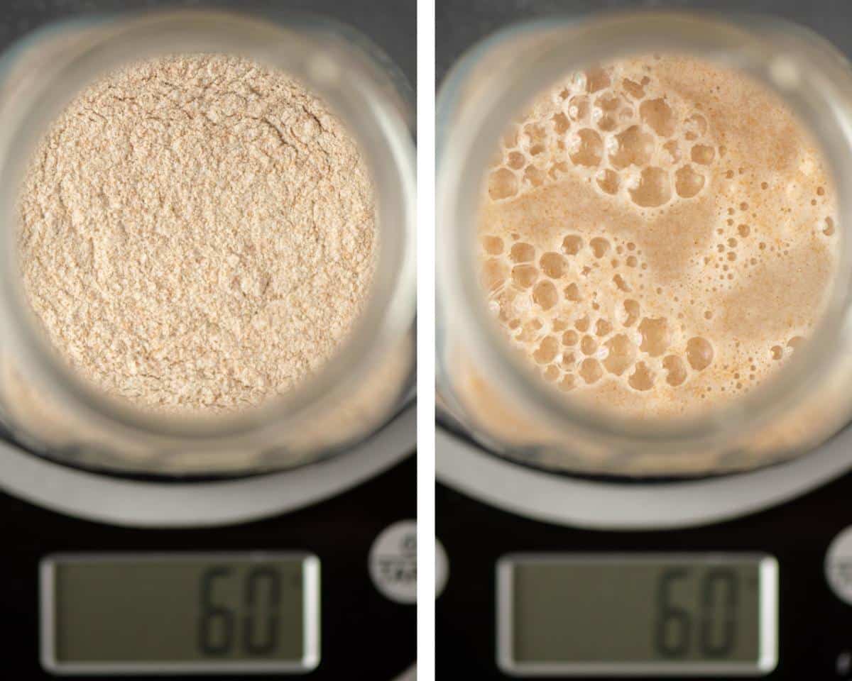 How To Make Sourdough Starter Tastes of Lizzy T