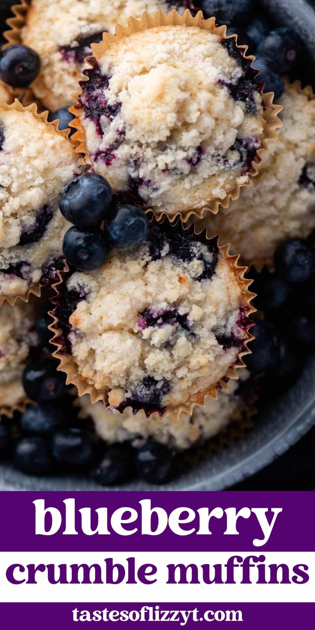Blueberry Muffins with Crumble Topping | Tastes of Lizzy T