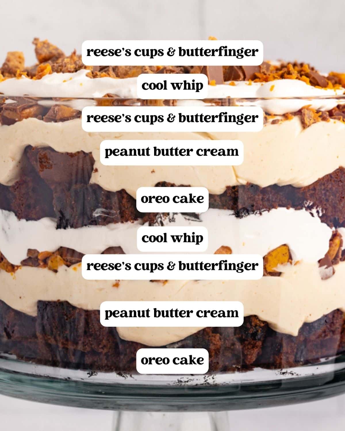layers in a chocolate peanut butter trifle