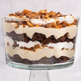 closeup of chocolate peanut butter trifle in a glass dish
