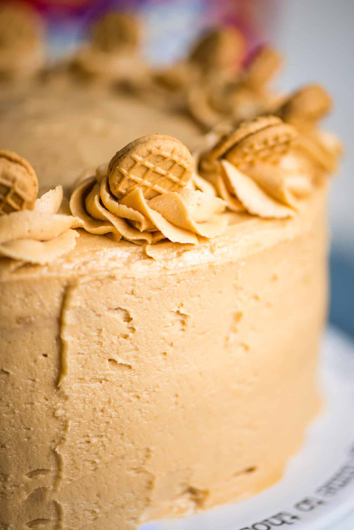 closeup of nutter butter cake