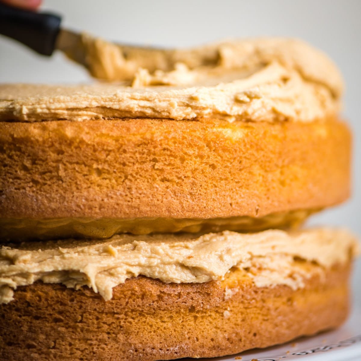 two peanut butter cake layers with peanut butter frosting on top