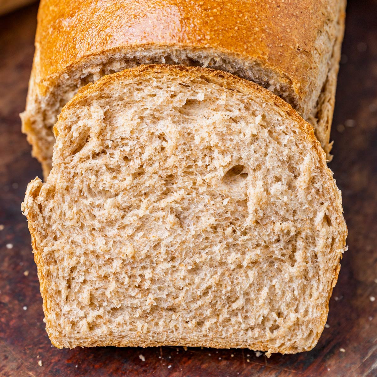 sourdough-discard-whole-wheat-bread-tastes-of-lizzy-t