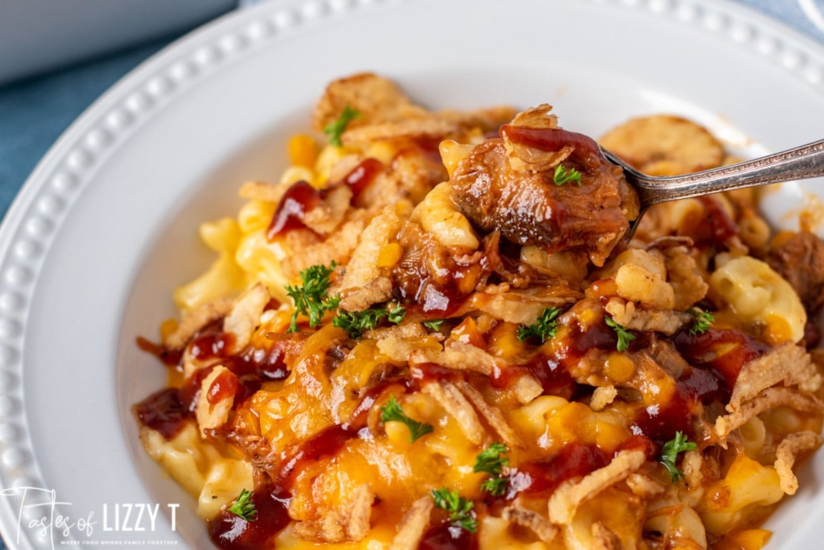 a plate of pulled pork mac and cheese with french fried onion on top