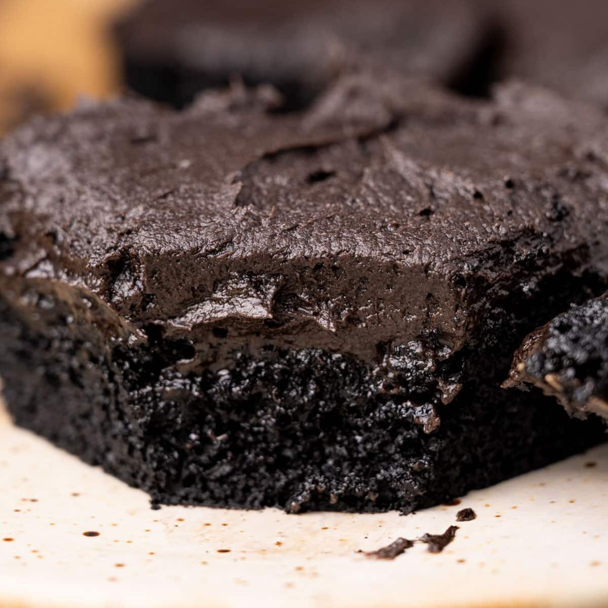 black cocoa powder cake on a plate