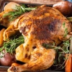 a whole chicken with browned skin on a table