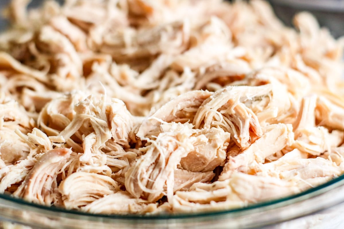 a bowl of shredded chicken