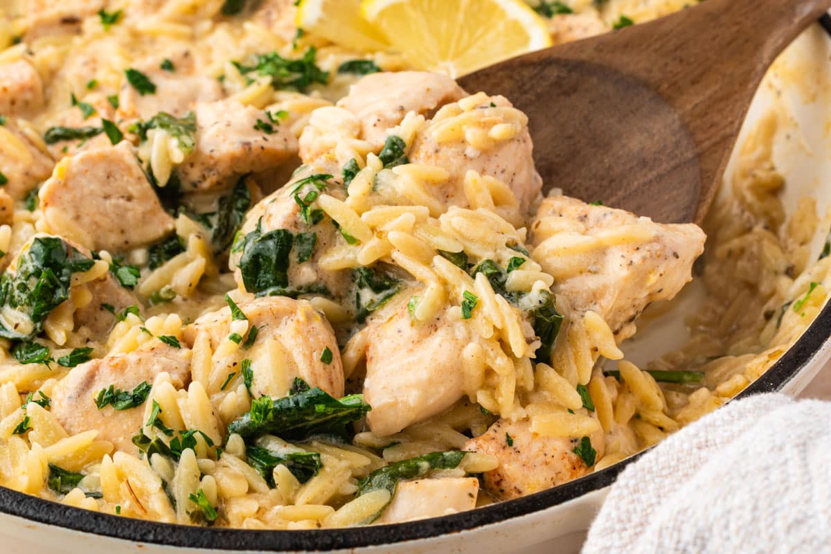 a spatula with orzo and chicken on a spatula
