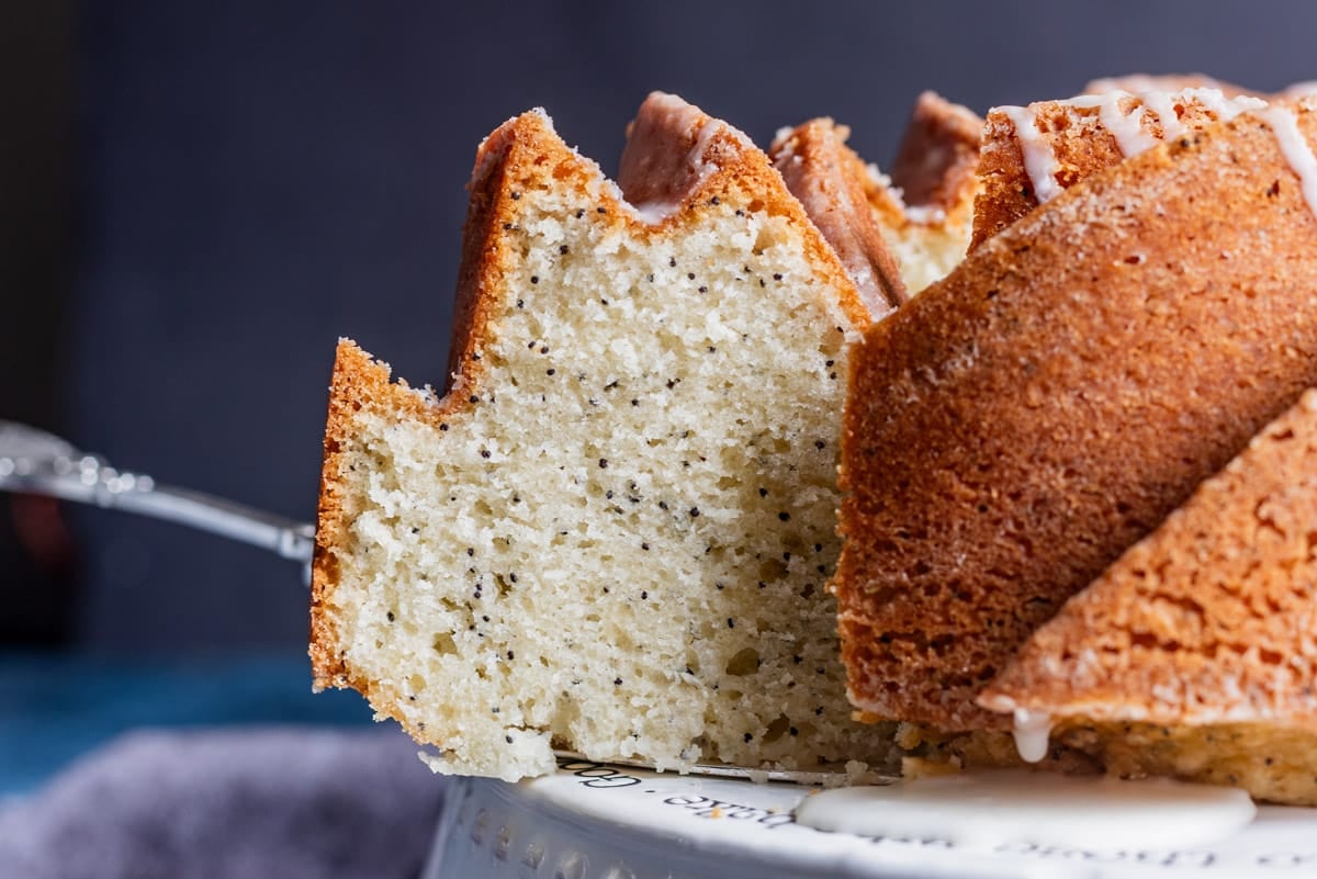 a slice of poppy seed cake on a plate