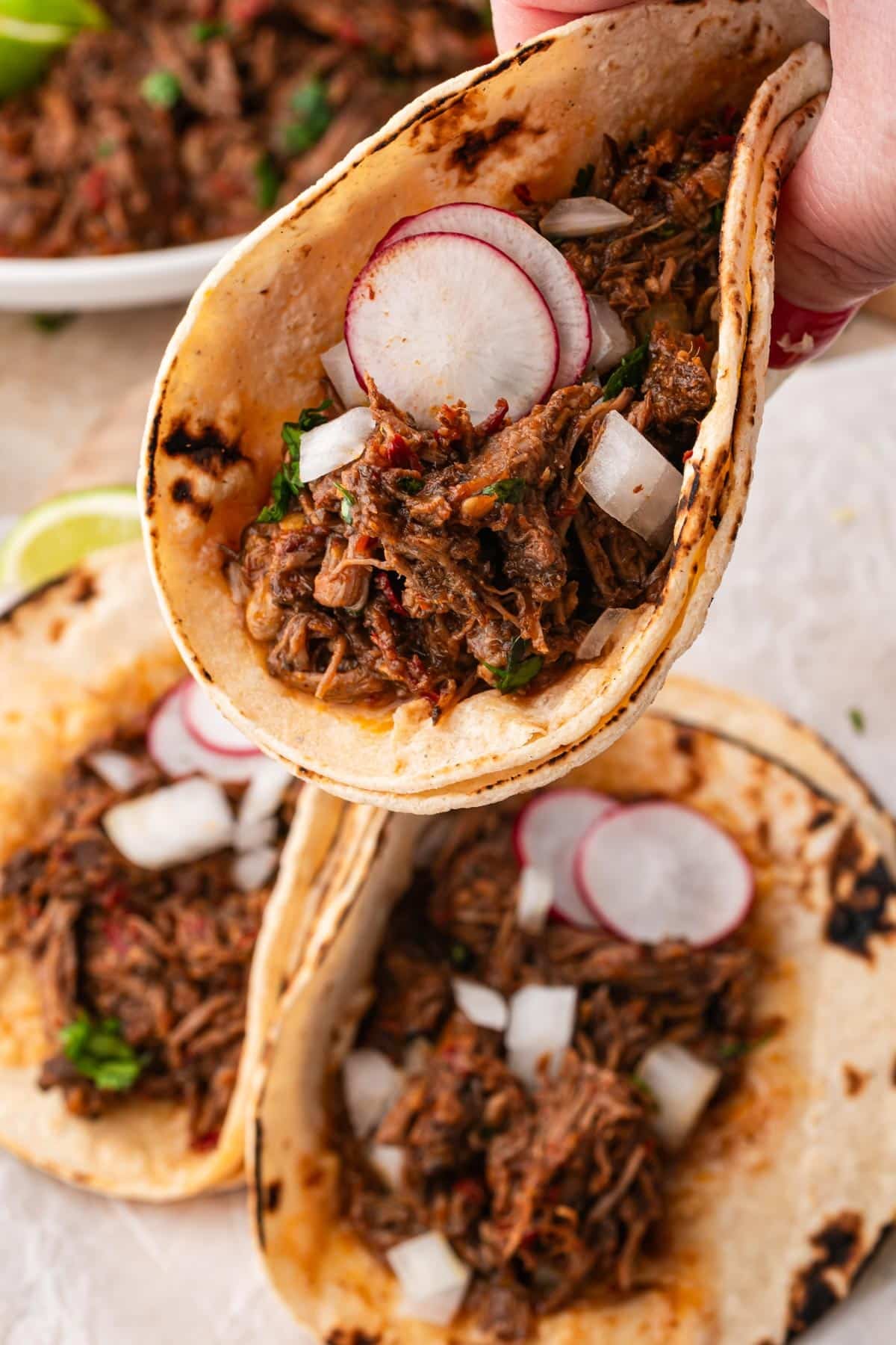 a hand holding a barbacoa taco with radishes
