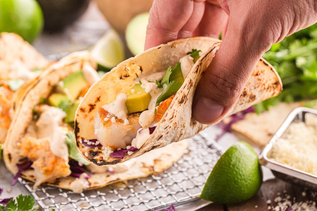 a hand holding a fish taco