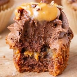 closeup of turtle cupcake cut open