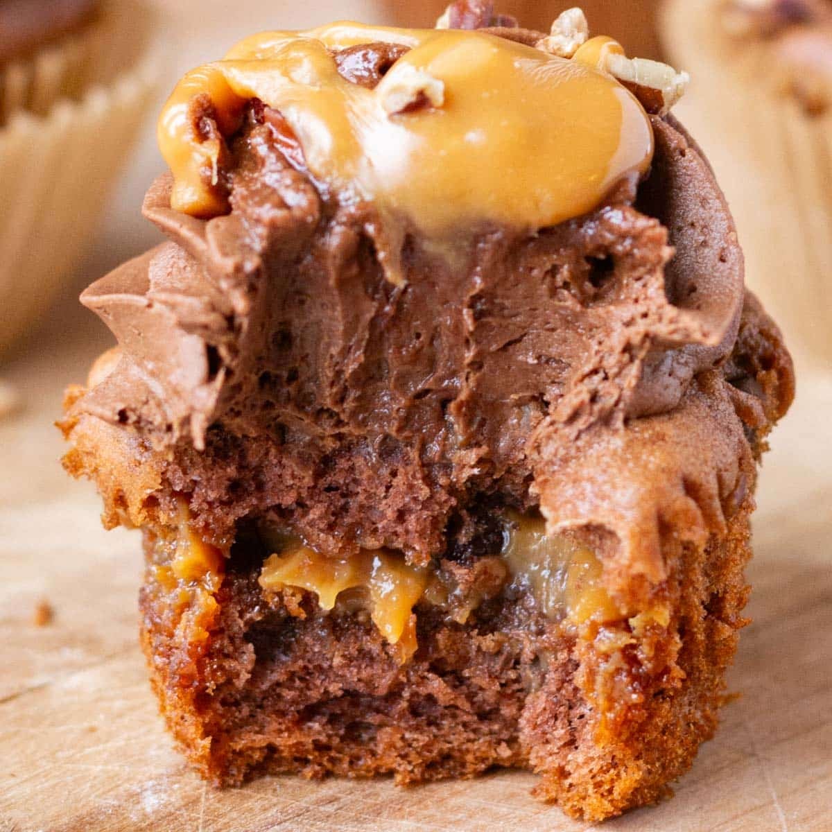 closeup of turtle cupcake cut open