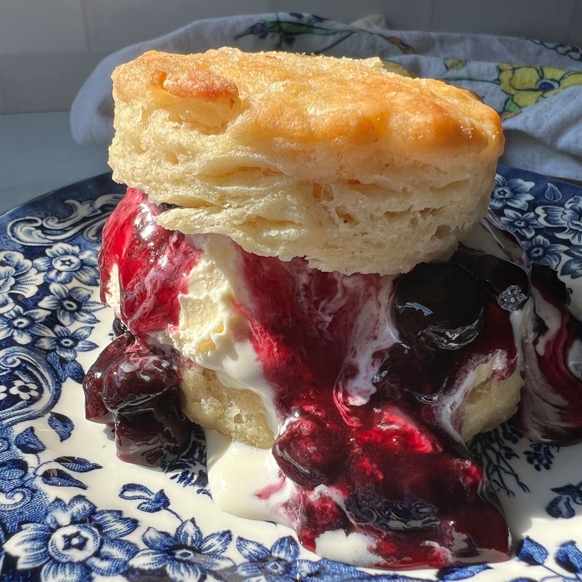 a biscuit with ice cream and blueberry topping
