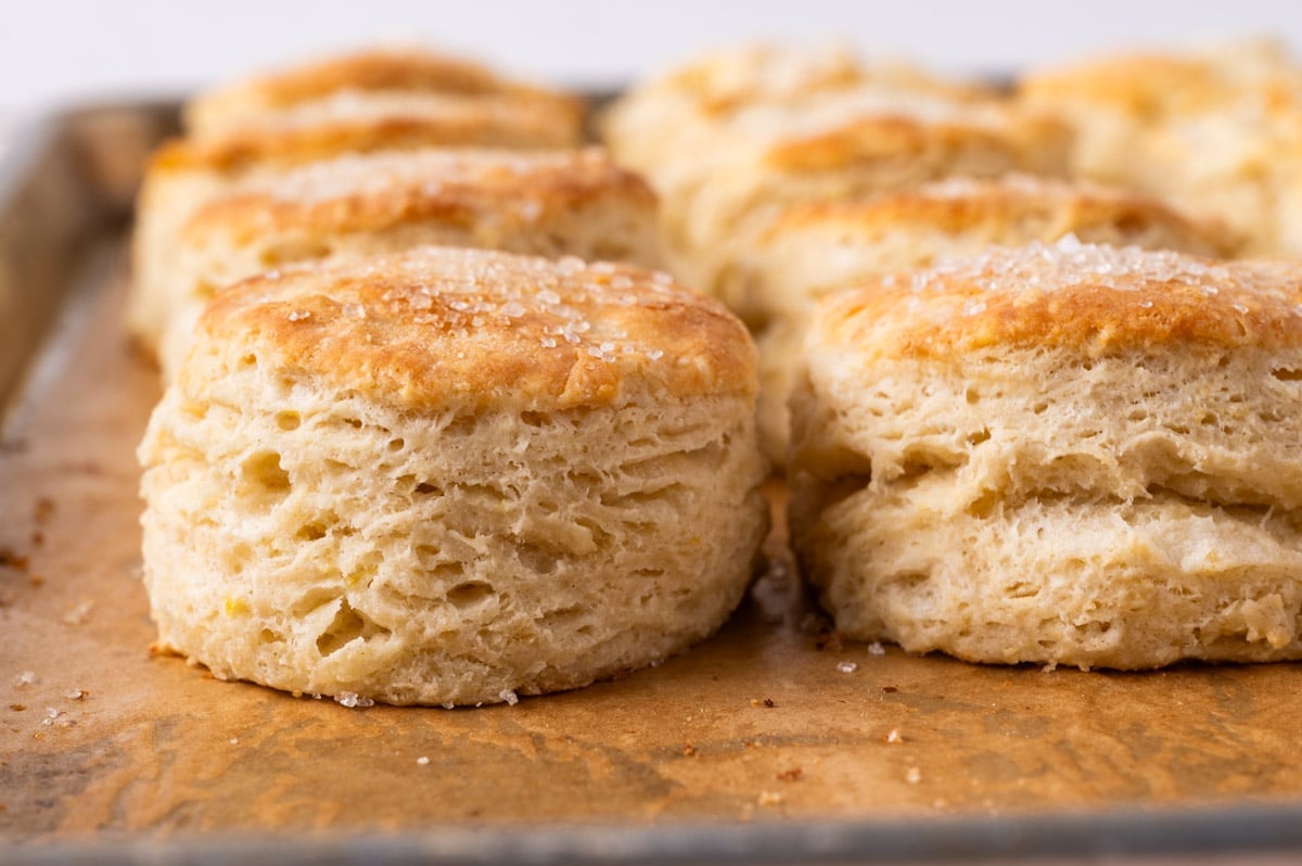 buttermilk shortcake biscuits on a baking sheet