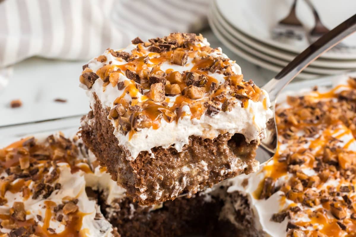 a piece of better than anything cake on a spatula