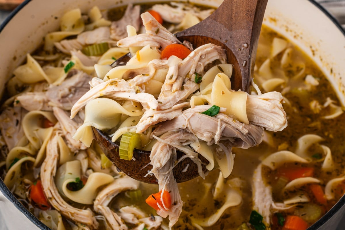 closeup of chicken noodle soup with rotisserie chicken