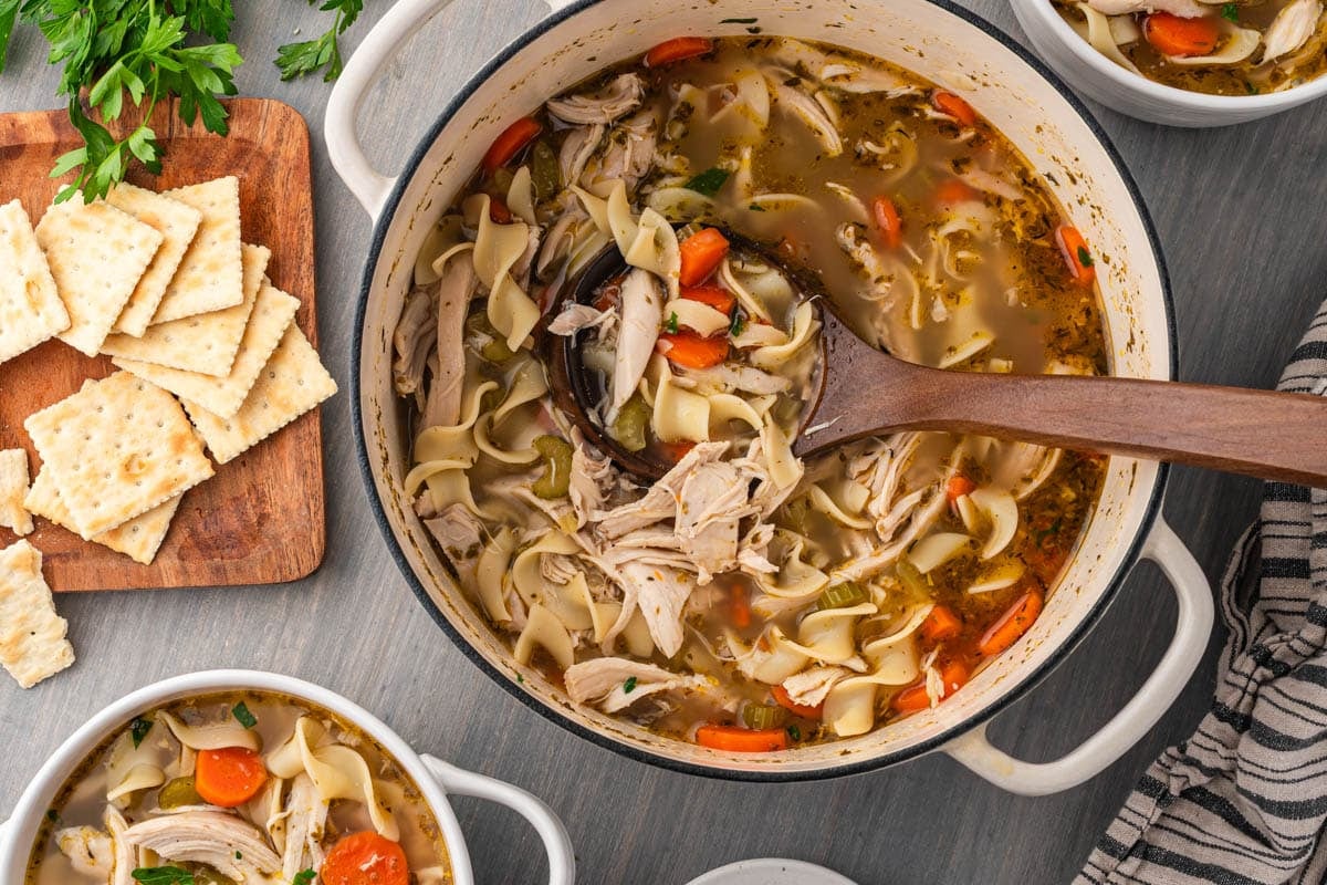 a pot of chicken noodle soup with a ladle in it