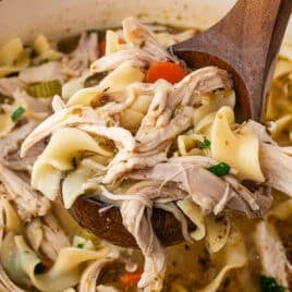 a ladle full of chicken noodle soup with rotisserie chicken
